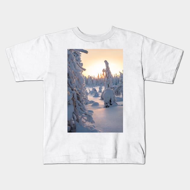 Arctic Winter II Kids T-Shirt by geoffshoults